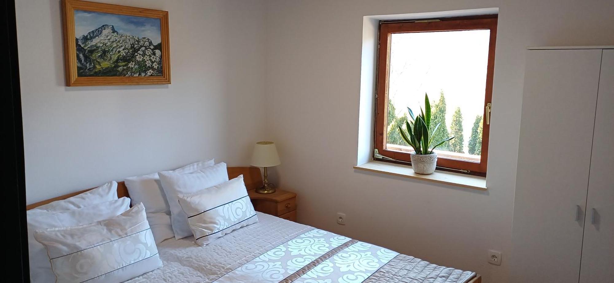 Hotel Planinka Ljubno Экстерьер фото
